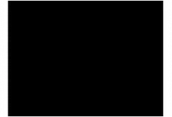 SLR Wedger-12
